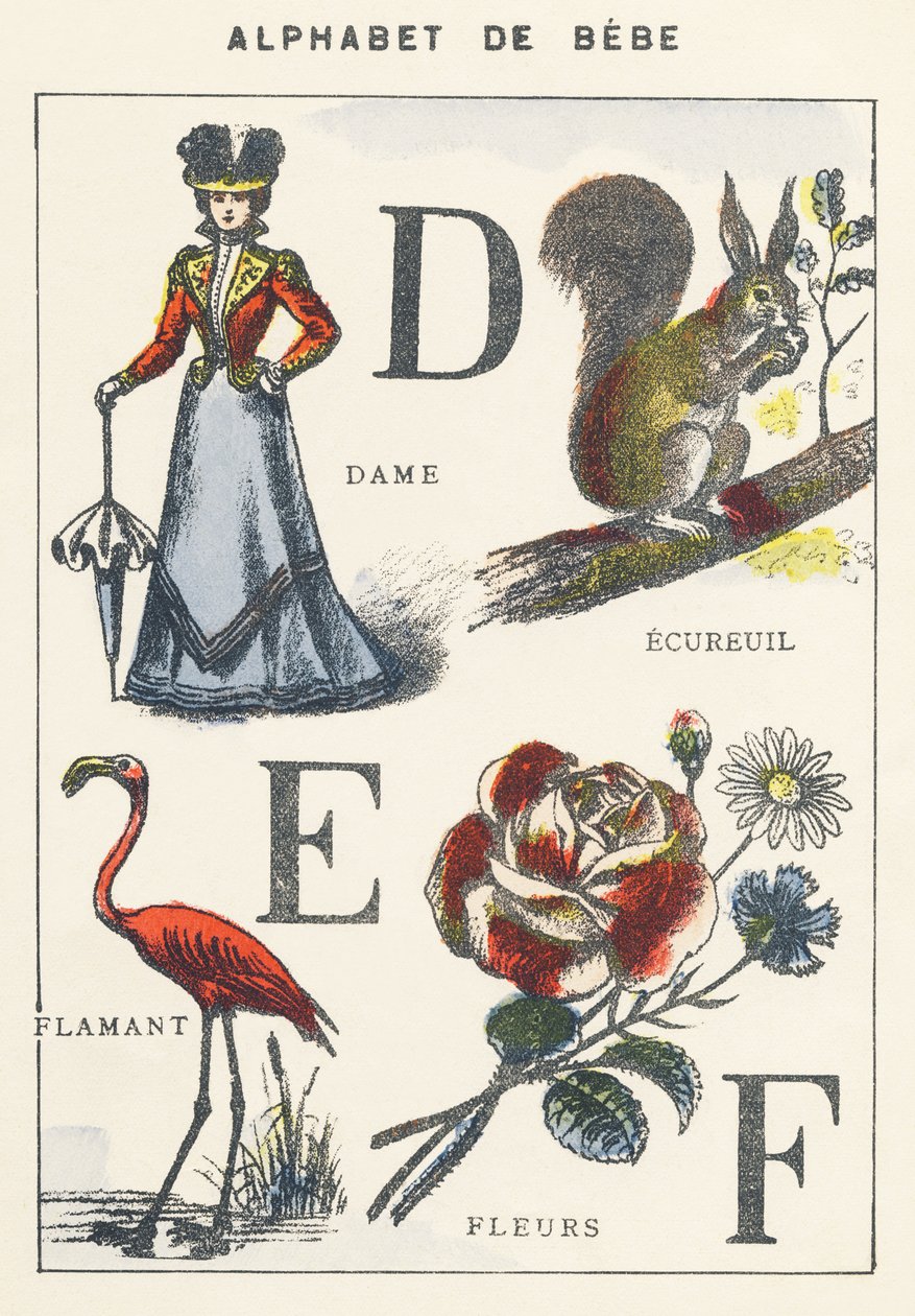 D E F: dame, egern, flamingo, blomster af Unknown artist