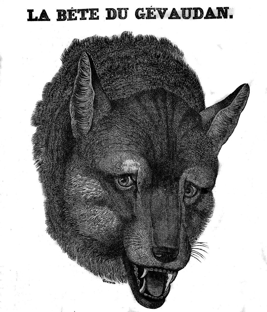 Repræsentation af Bete du Gevaudan. af Unknown artist
