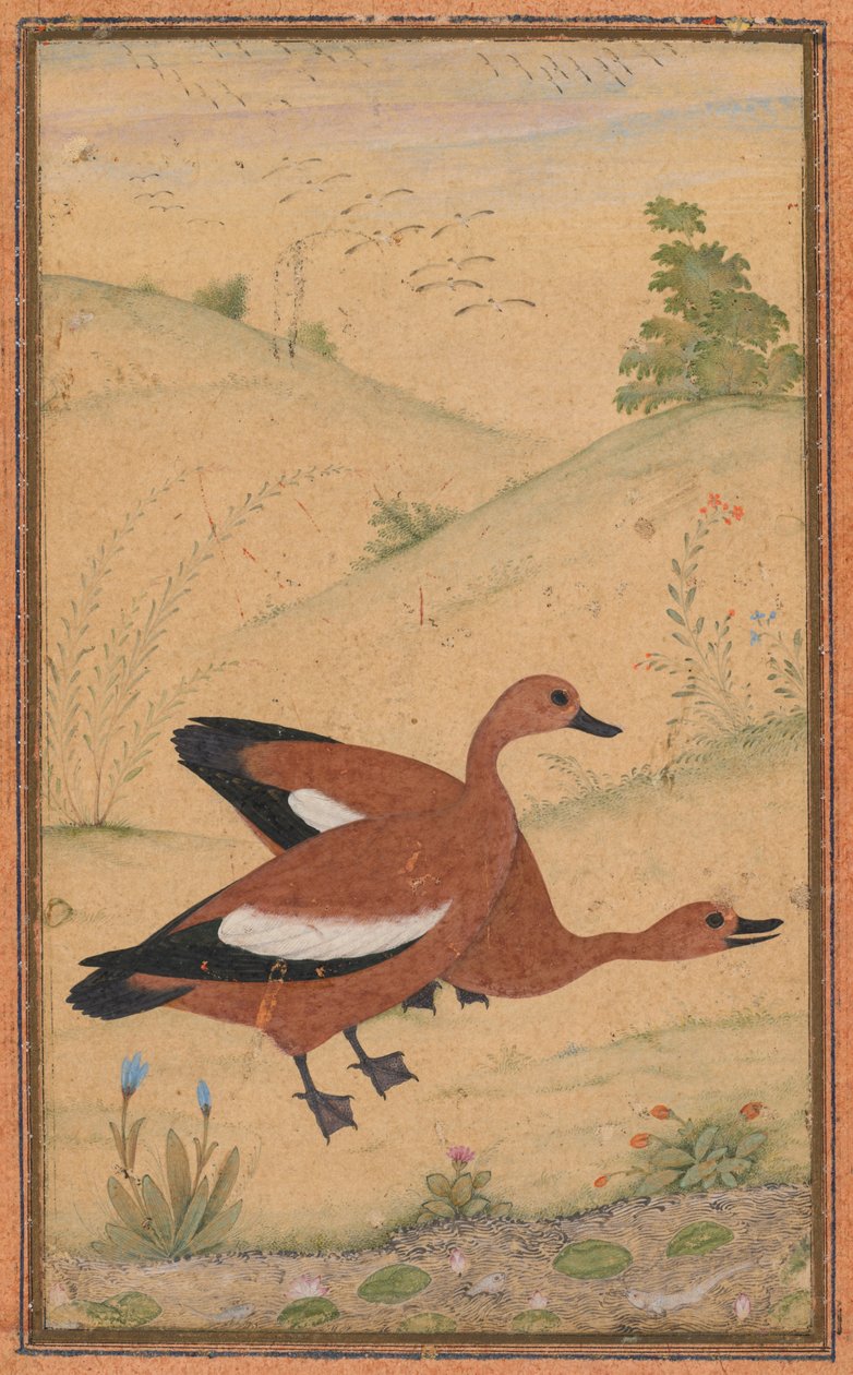 Et par brahminænder af Unknown artist