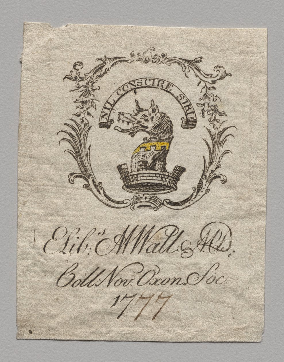 Bogplade: Elizabeth M. Watt, M.D. af Unknown artist