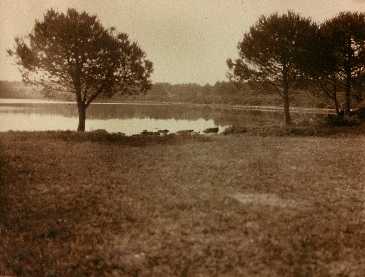 Landskab på Brijuni-øerne af Unknown photographer