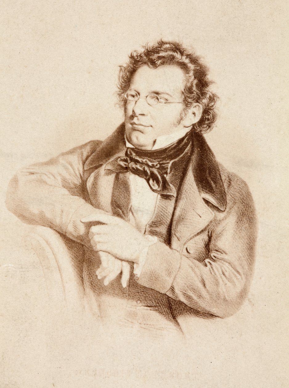 Franz Schubertin muotokuva, noin 1860-luku (painettu) af Unknown photographer