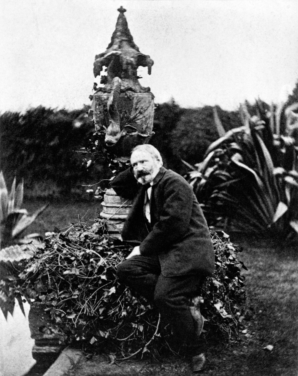Portræt af Victor Hugo af Unknown photographer