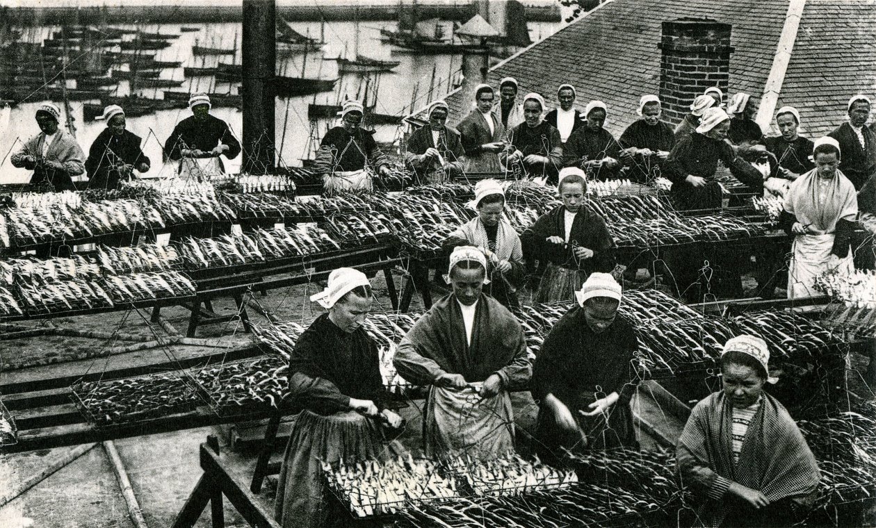 Sardinindustri, Finistère, Bretagne (s/h-foto) af Unknown photographer