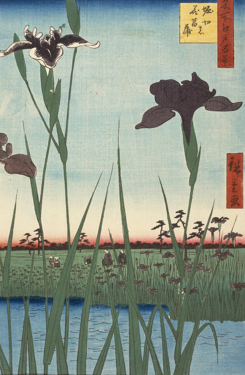 Horikiri Iris Garden (Horikiri no hanashbu), fra serien One Hundred Famous Views of Edo (Meish... af Utagawa Hiroshige