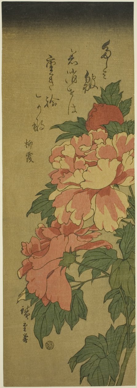Pæoner af Utagawa Hiroshige