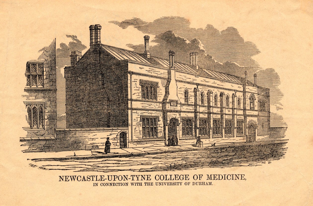 College of Medicine, Newcastle upon Tyne af Utting