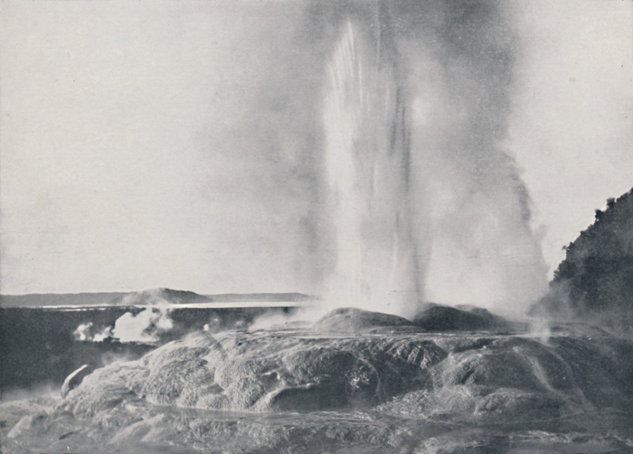 Geyser, New Zealand, 1924 af Valentine and Sons Ltd