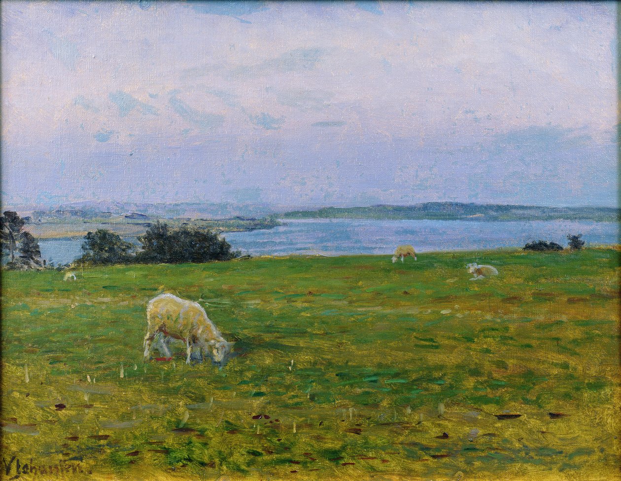 Fåregræsning, Osterby, Skagen af Viggo Johansen