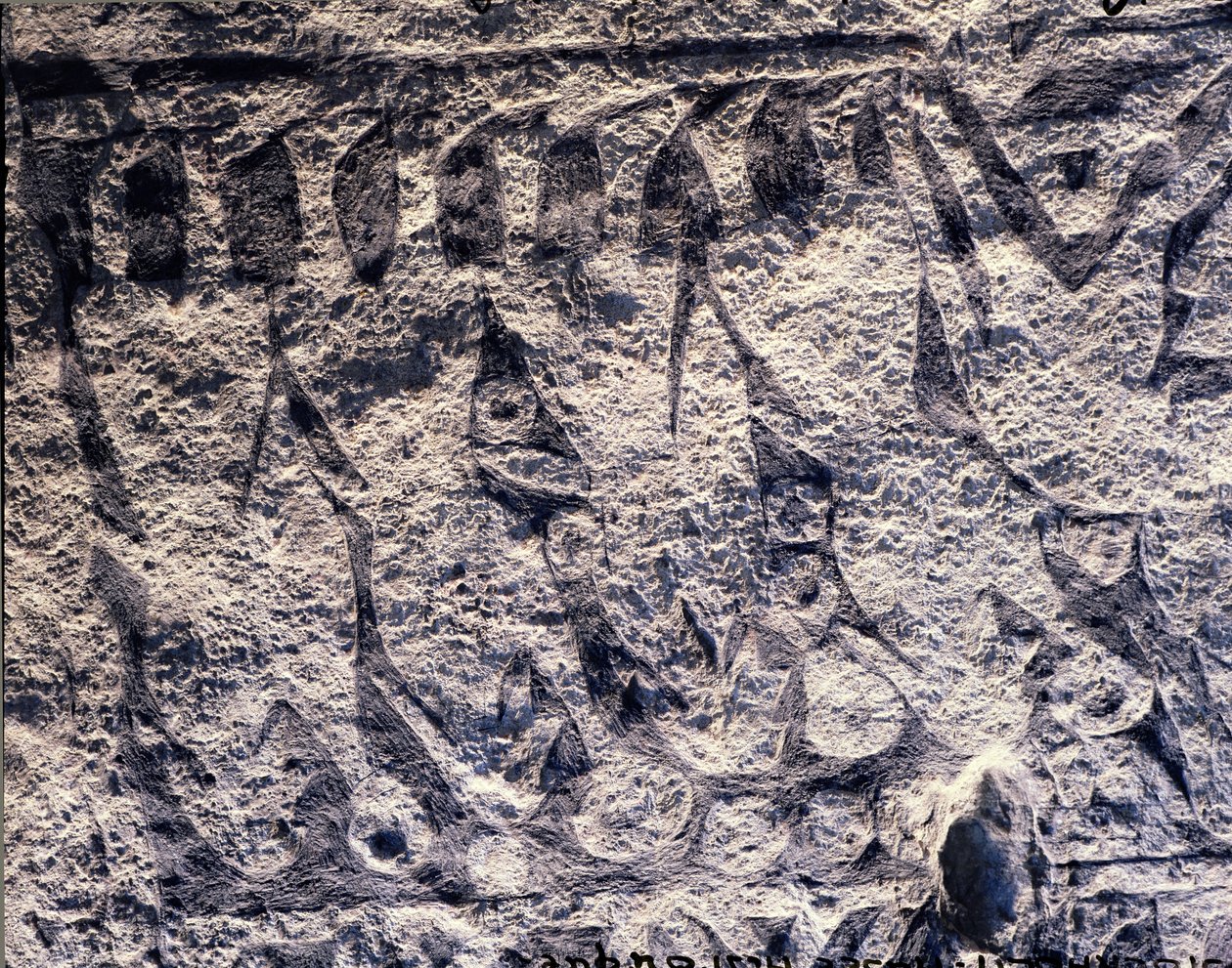 Detalje af en rituel procession, fra Isle of Gotland sten af Viking