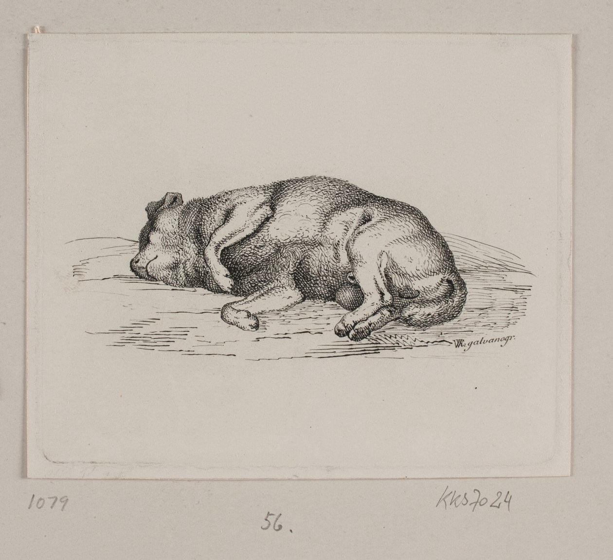 En liggende hund af Vilhelm Kyhn