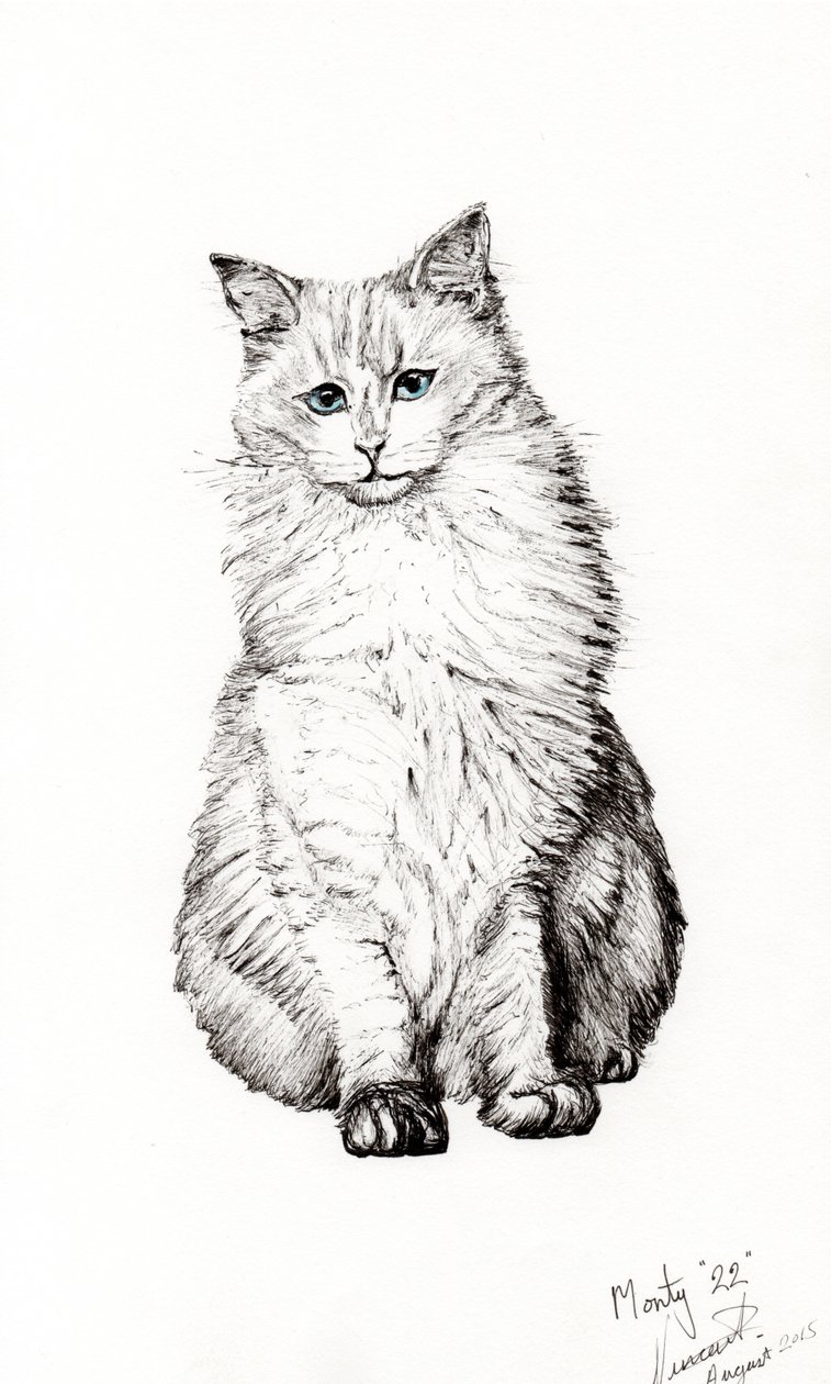 Dreng, 2015, (blæk på papir) af Vincent Alexander Booth