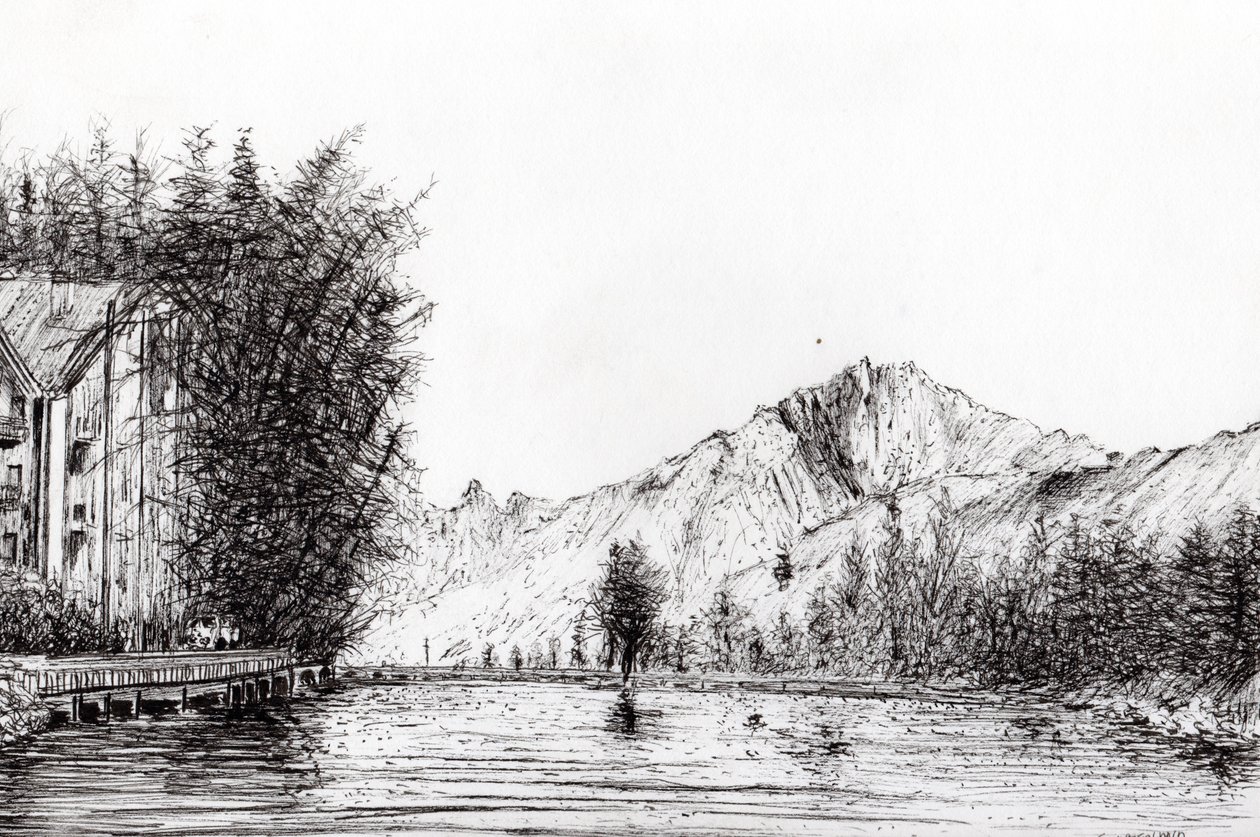 Crans Schweiz, 2009, (blæk på papir) af Vincent Alexander Booth