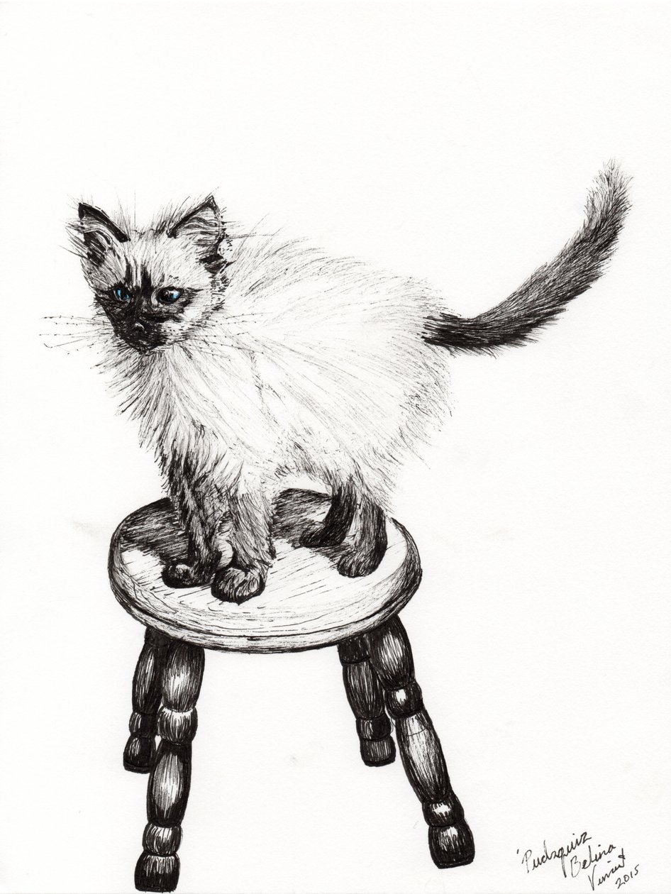 Pudsquiz Belina, 2015, (blæk på papir) af Vincent Alexander Booth