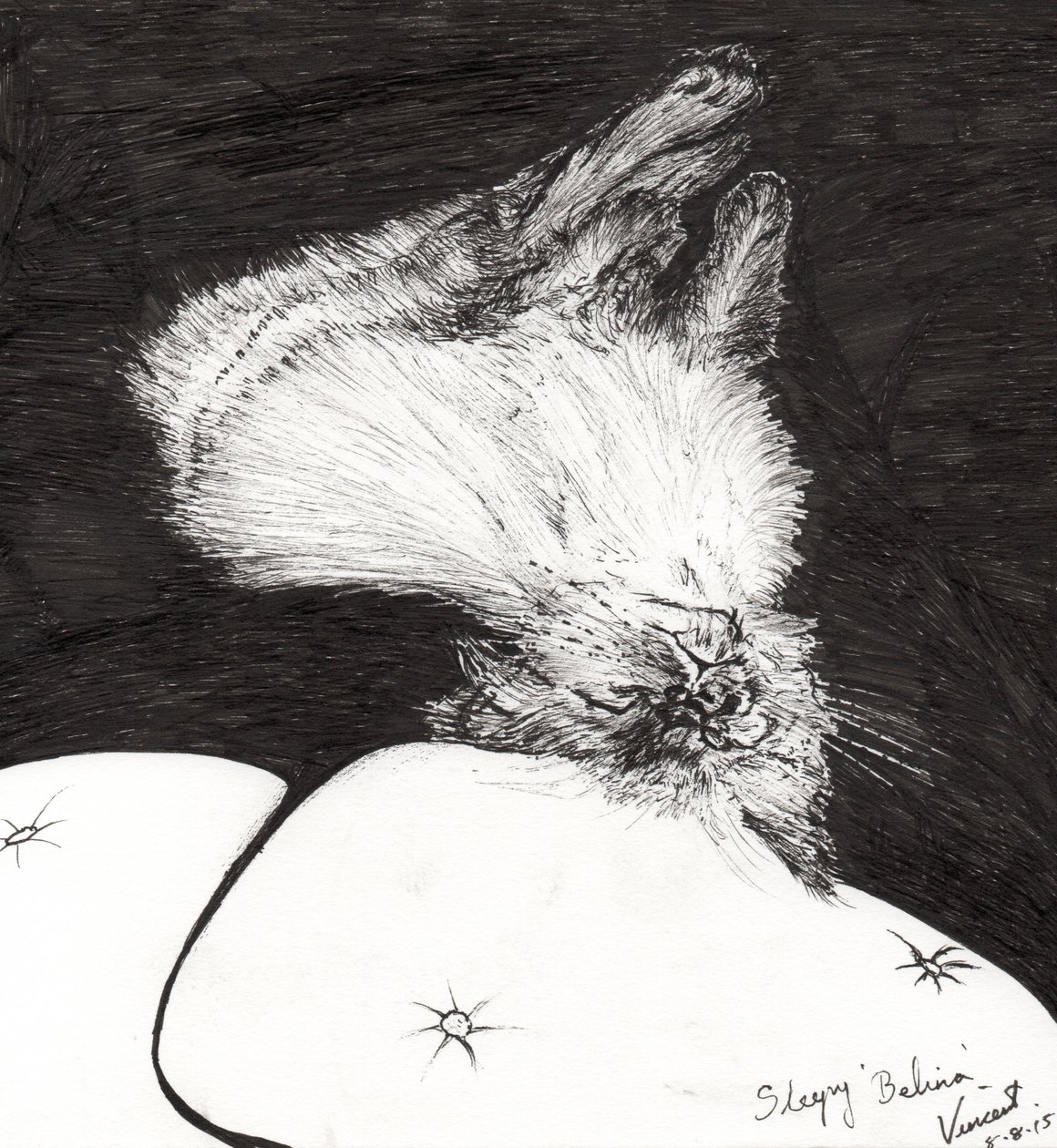 Sleepy Belina, 2015, (blæk på papir) af Vincent Alexander Booth