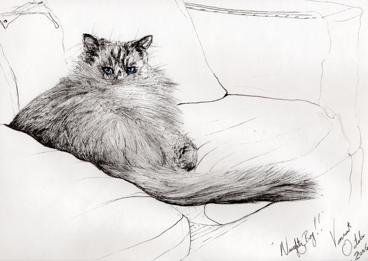 fræk dreng!, 2006, (blæk på papir) af Vincent Alexander Booth
