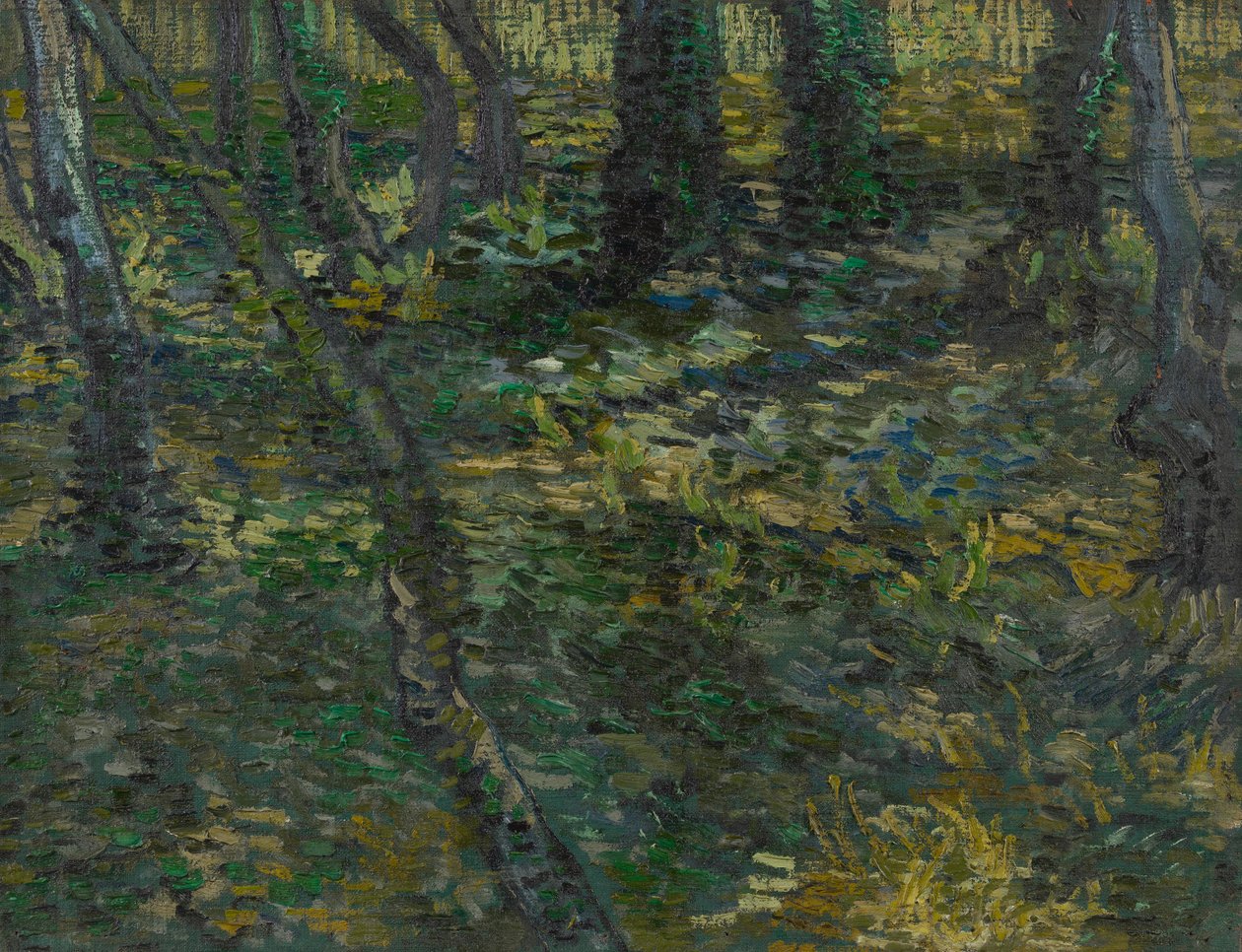 Underskov af Vincent van Gogh