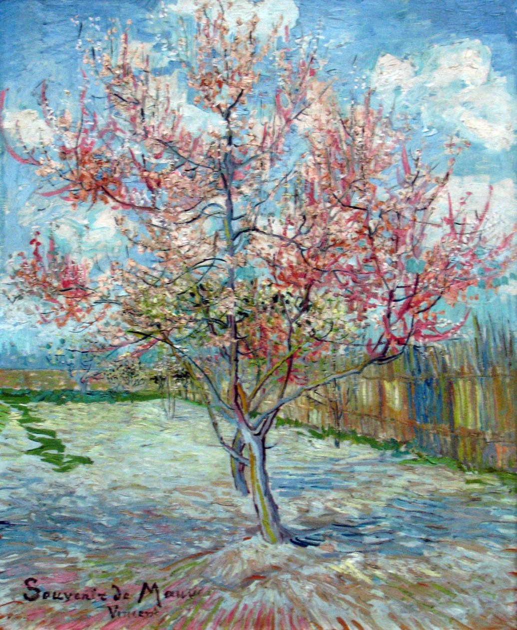 Rosa Pfirsichbäume (Souvenir de Mauve) af Vincent van Gogh