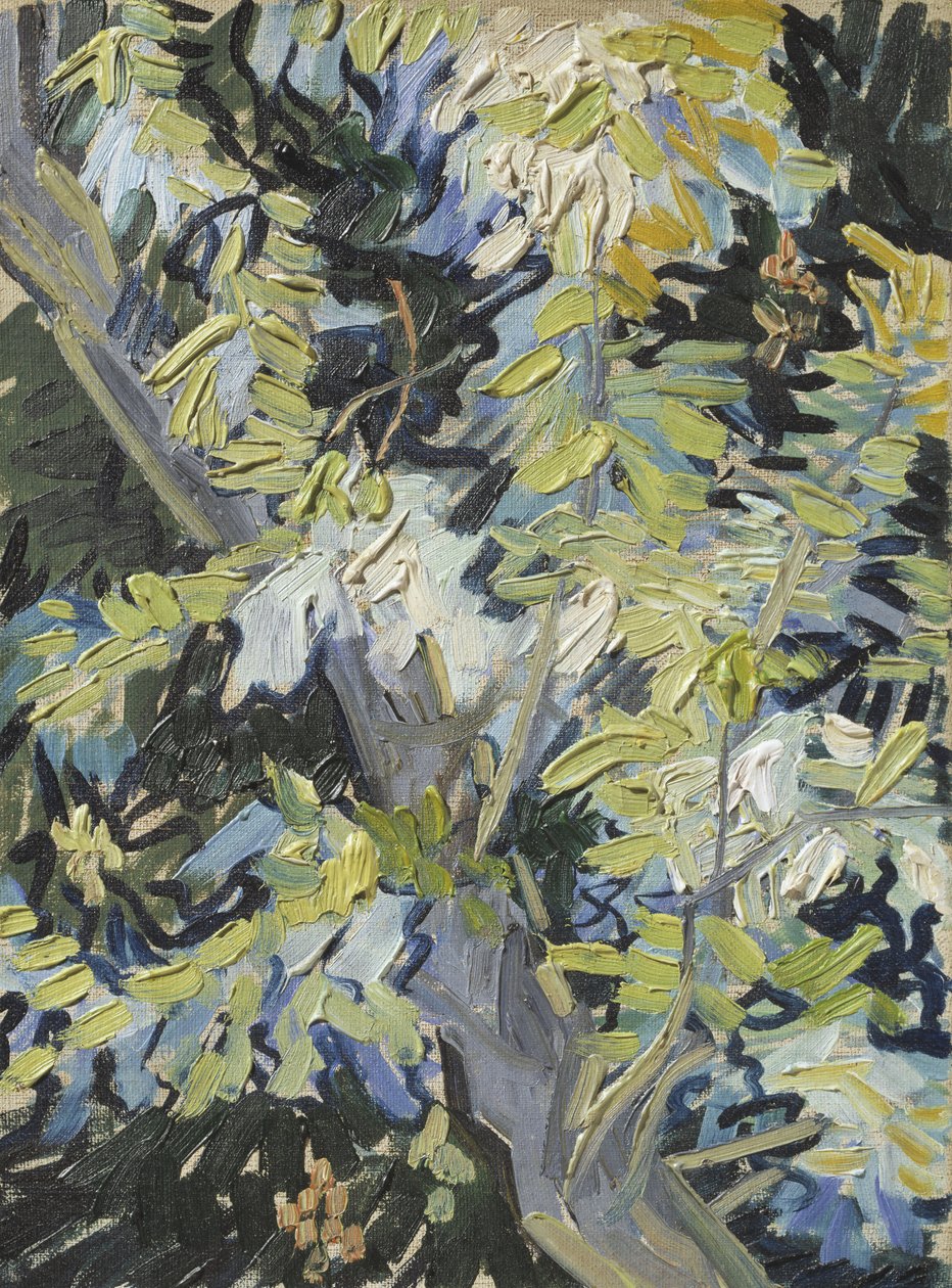 Akacie i blomst, ca. 1889 af Vincent van Gogh