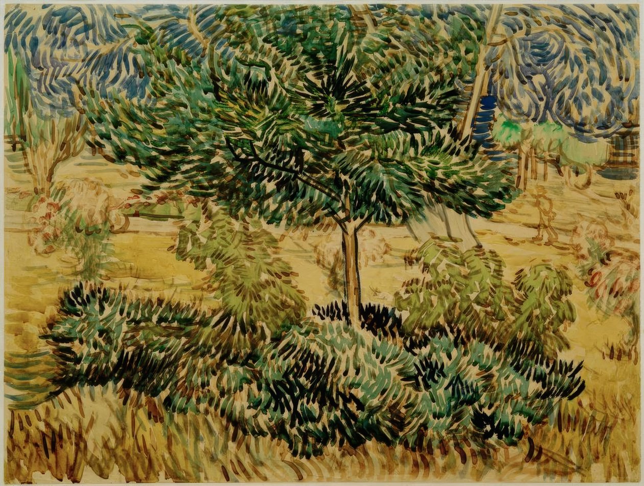 Træ og buske i sanatoriets have af Vincent van Gogh