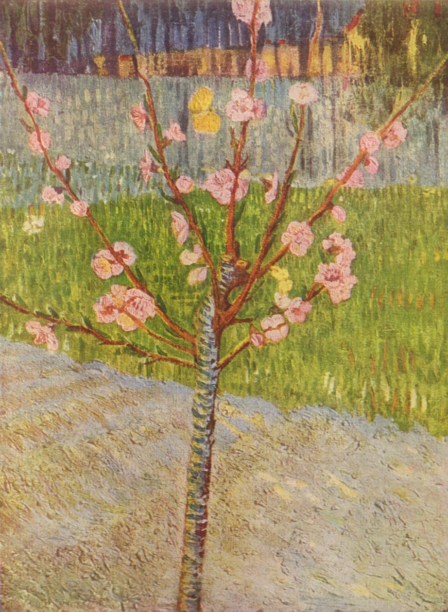 Boulevard de Clichy af Vincent van Gogh