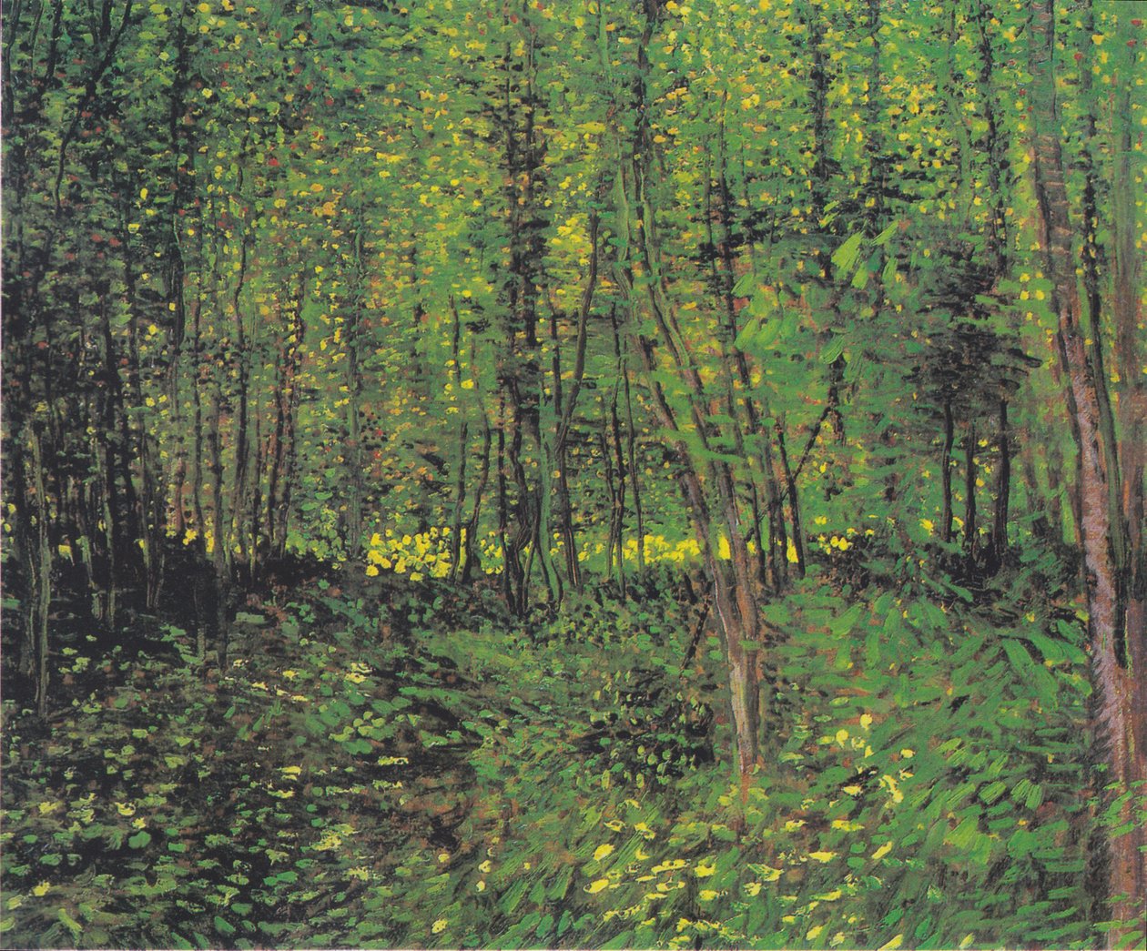 Træer og underskov 2 af Vincent van Gogh