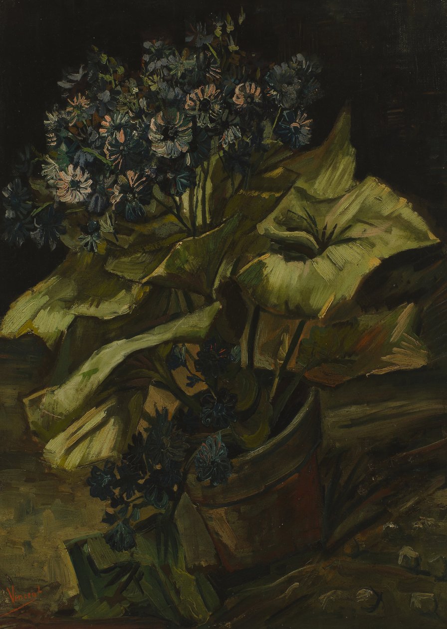 Cineraria af Vincent van Gogh
