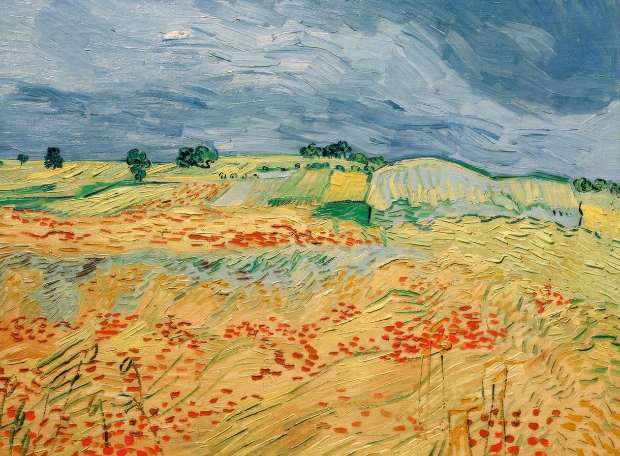 Marker med blomstrende valmuer af Vincent van Gogh