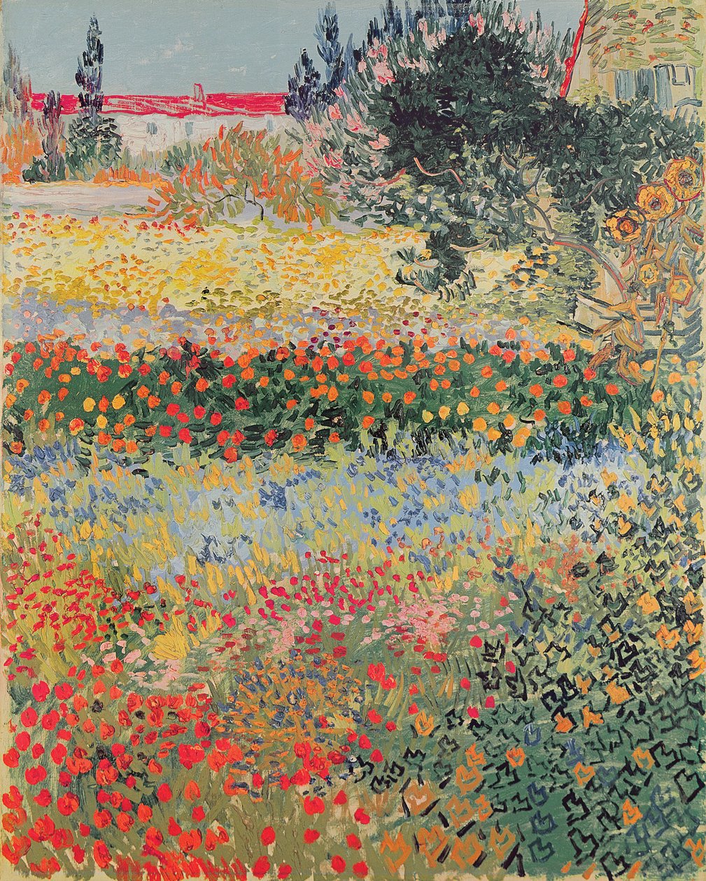 Garden in Bloom, Arles, juli 1888 af Vincent van Gogh
