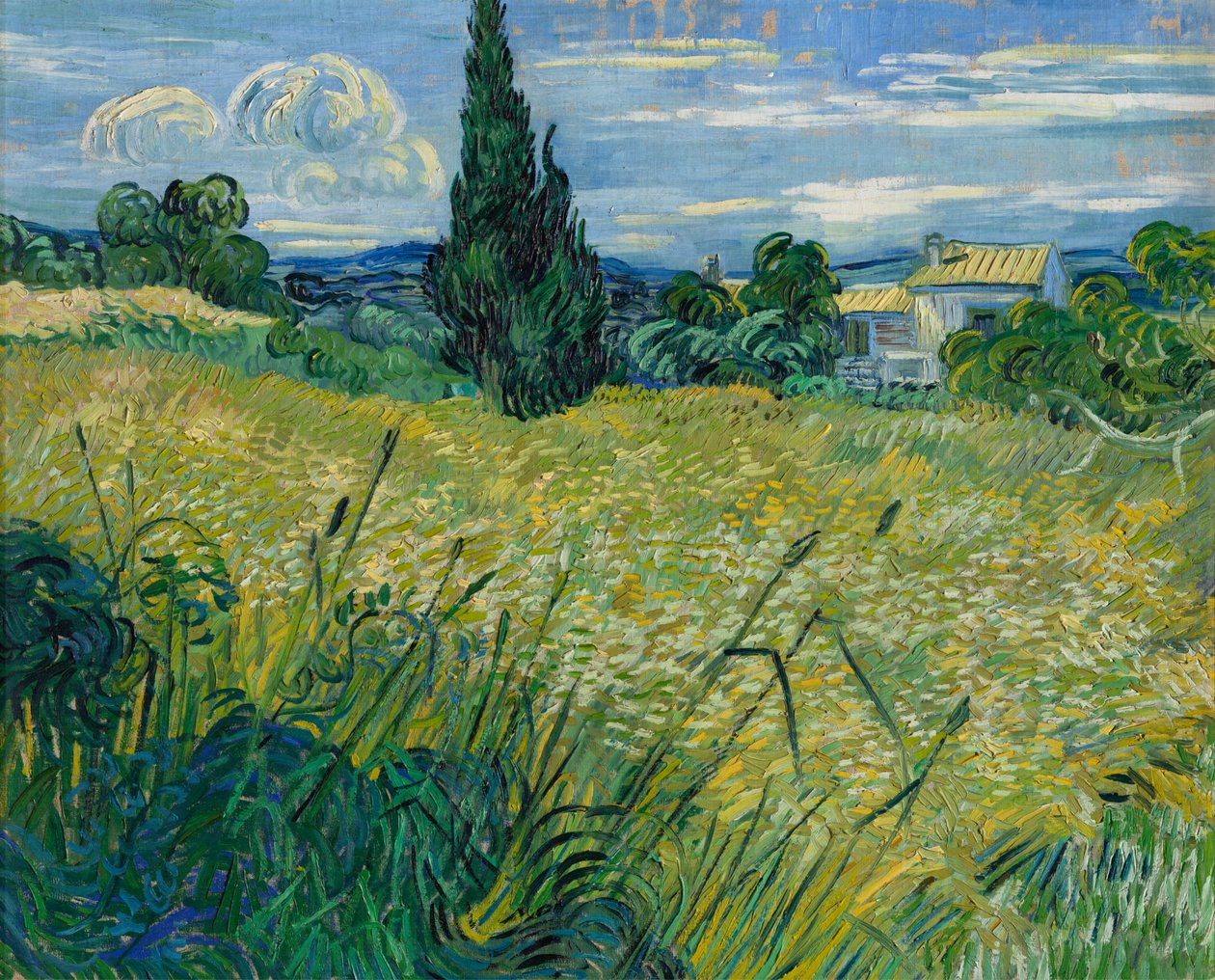 Grøn hvede, 1889 af Vincent van Gogh