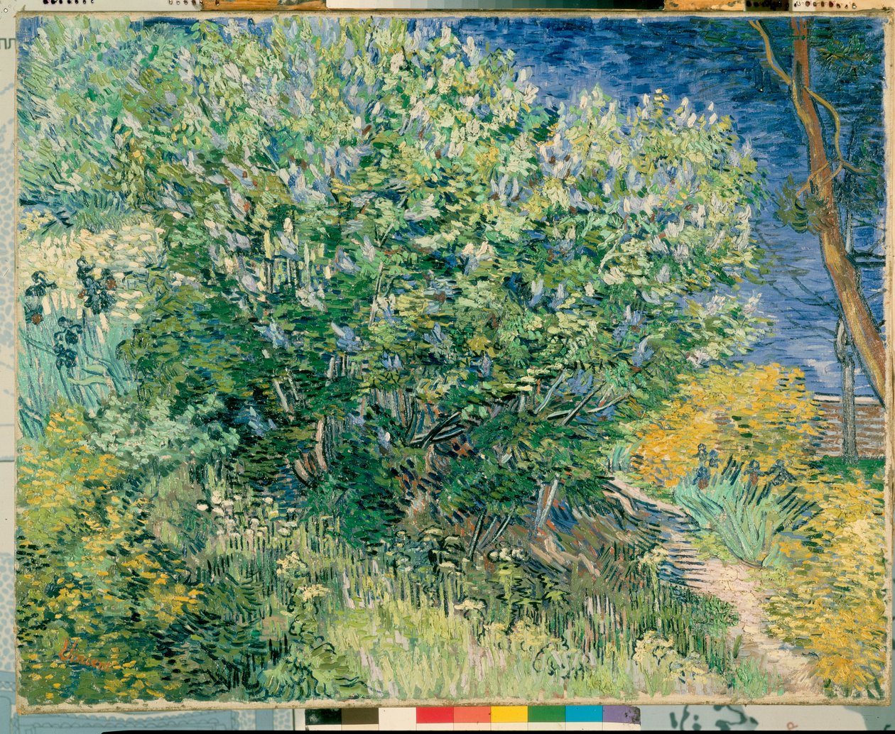 Lilac Bush af Vincent van Gogh