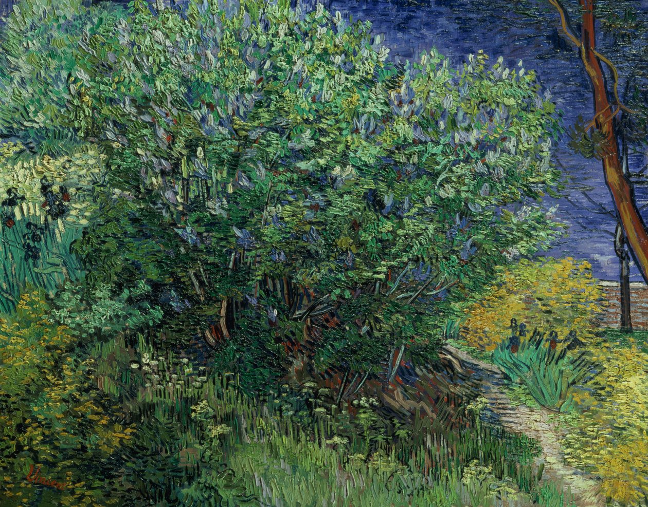 Syrenbusk, 1889 af Vincent van Gogh