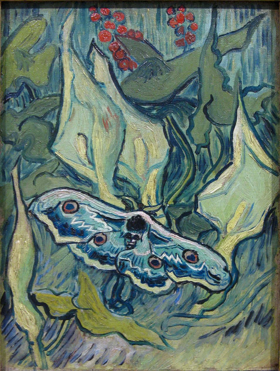 nat påfugl øje af Vincent van Gogh