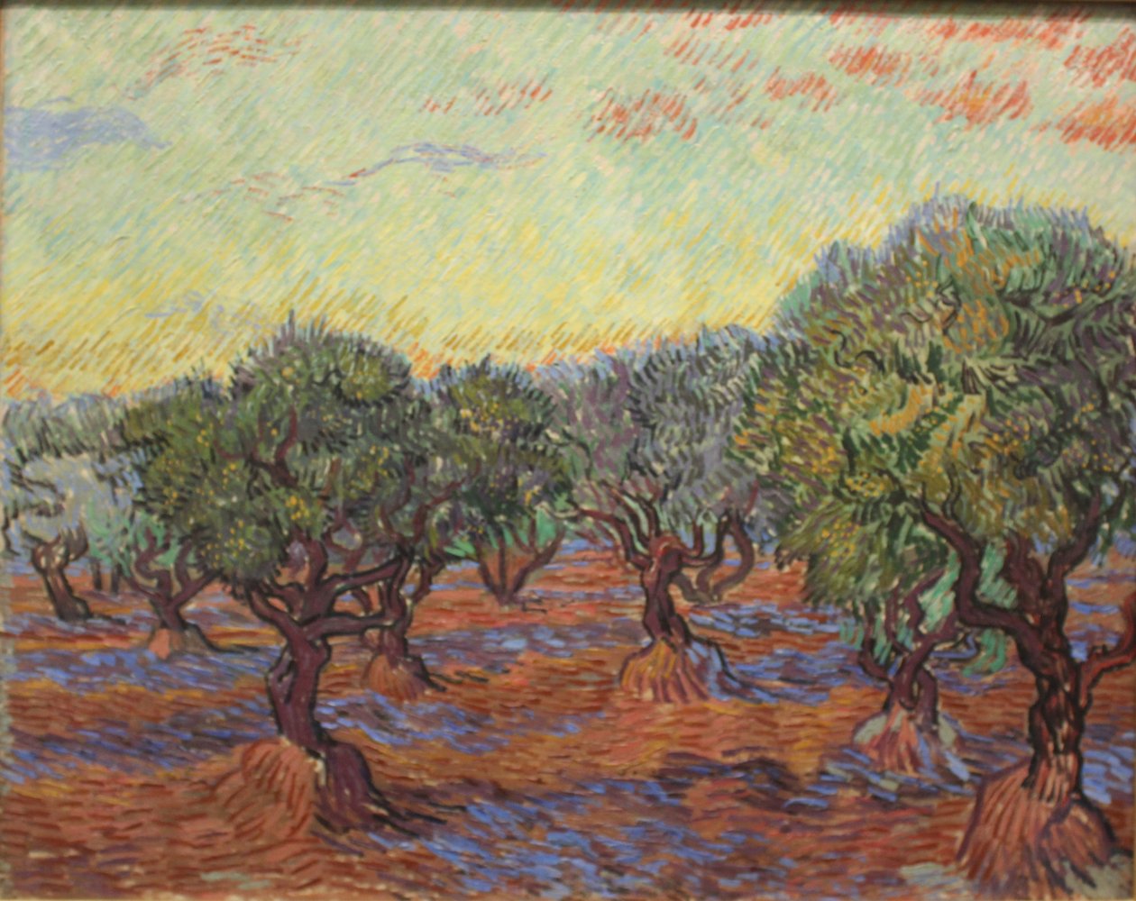 Olive Grove af Vincent van Gogh