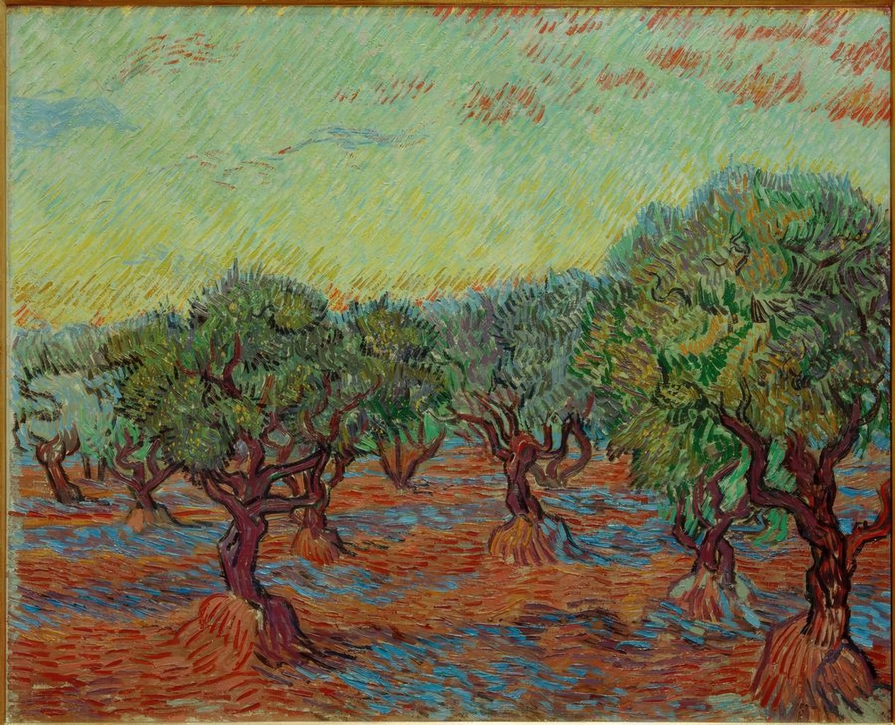 Olivenlund af Vincent van Gogh