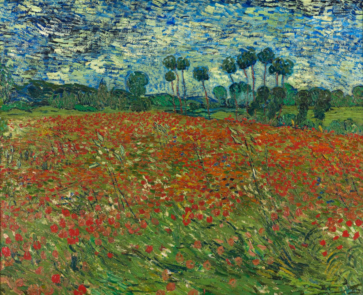 Valmue felt af Vincent van Gogh