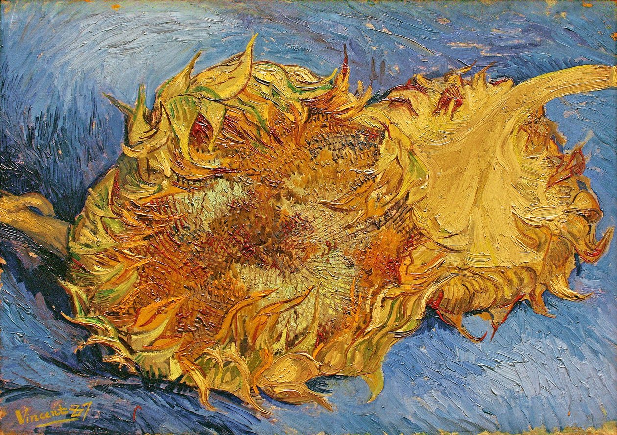 to skåret solsikker af Vincent van Gogh