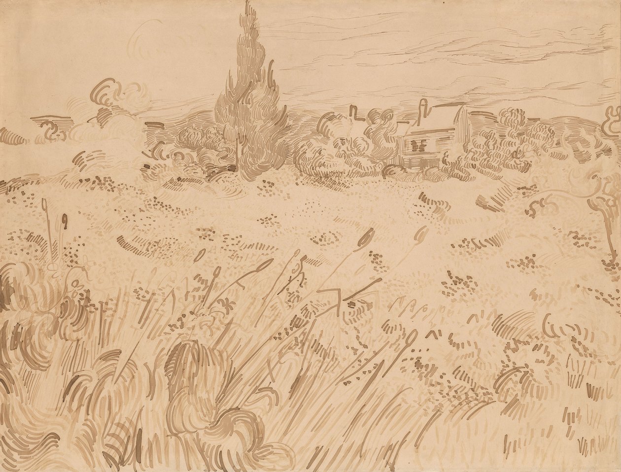 Wheatfield, Saint-Rémy de Provence af Vincent van Gogh