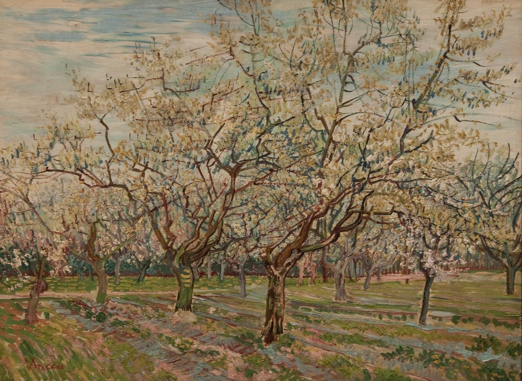 afra af Vincent van Gogh