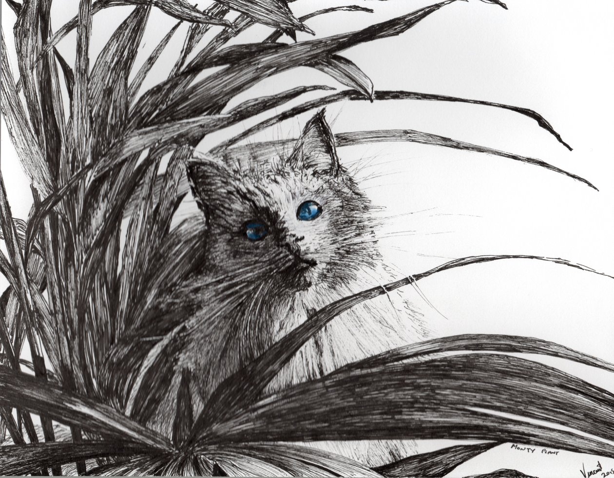 Monty plant, 2015, (blæk på papir) af Vincent Alexander Booth