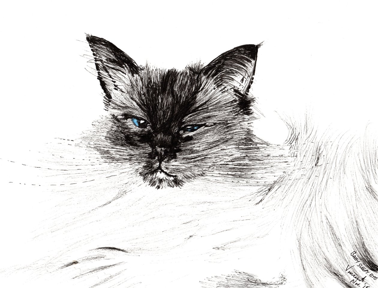Sleepy eye, 2015, (blæk på papir) af Vincent Alexander Booth