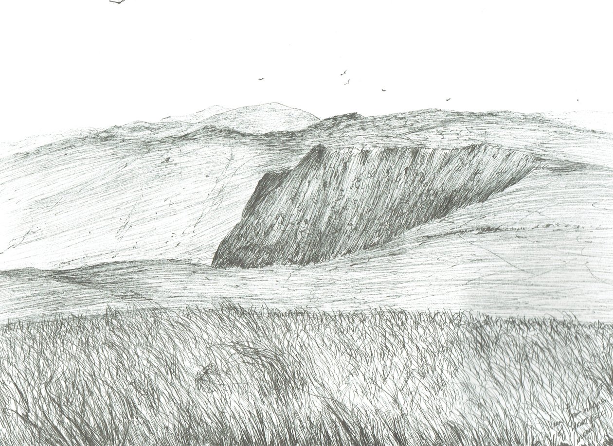 Slopes of Hartfell, 2003 af Vincent Alexander Booth