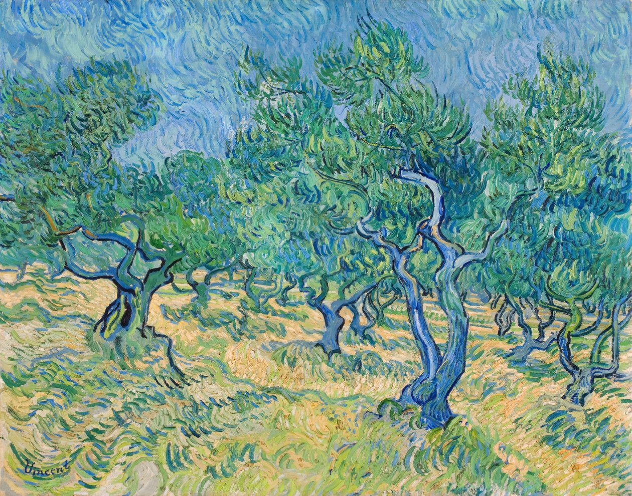 Olivenlund, 1889. af Vincent van Gogh