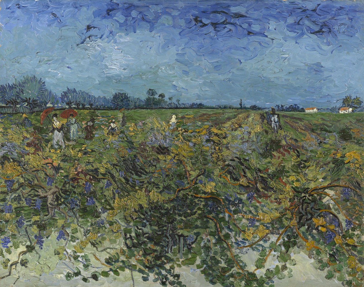 Den grønne vingård, 1888. af Vincent van Gogh