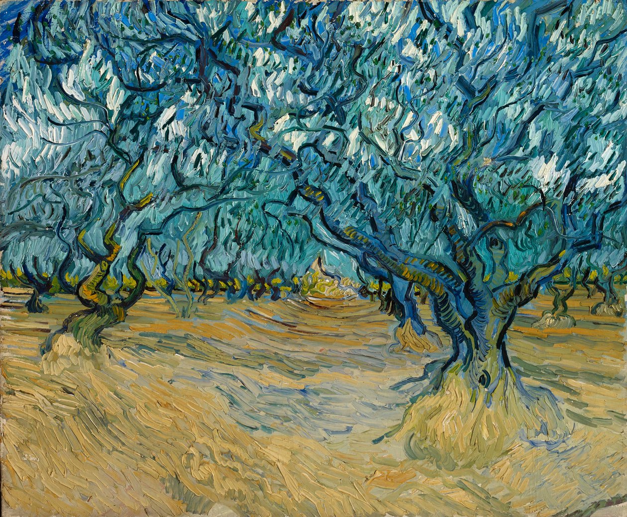Olivenlunden, Saint-Rémy, 1889. af Vincent van Gogh