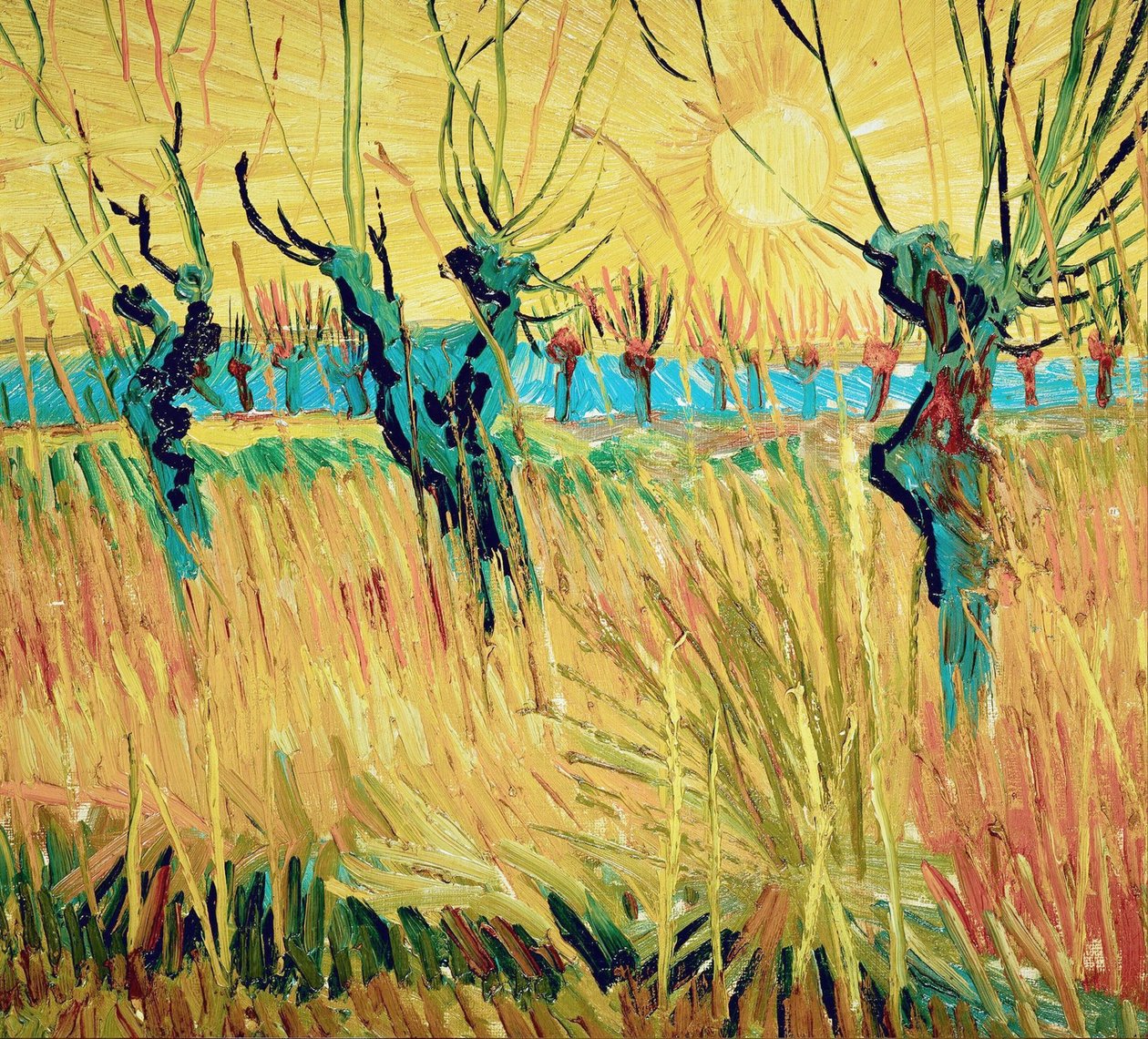Piletræer ved solnedgang, 1888. af Vincent van Gogh