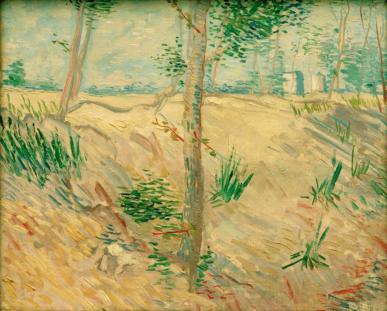 Træstammer i sollys af Vincent van Gogh