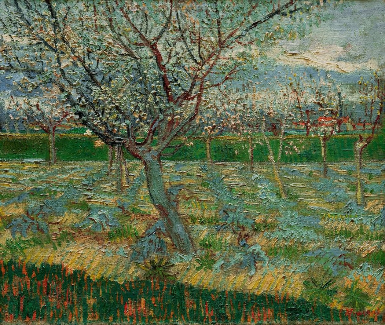 Blomstrende frugthave med abrikostræer af Vincent van Gogh