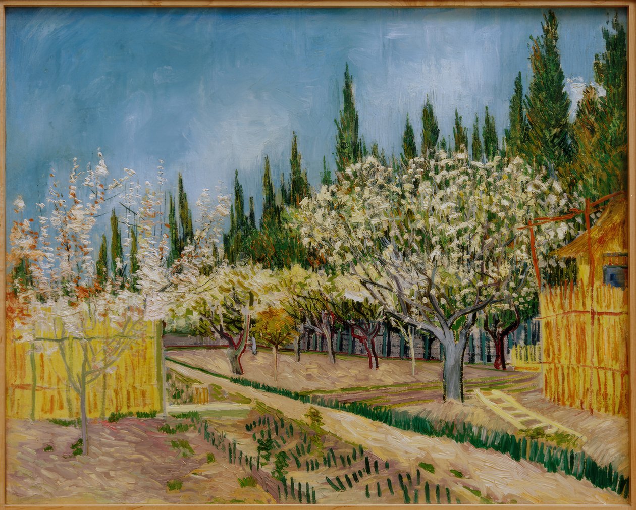Blomstrende frugthave omgivet af cypresser af Vincent van Gogh