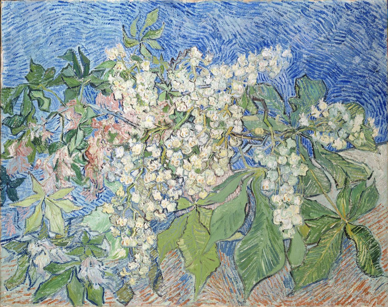 Grene af kastanjetræer i blomst, 1890. af Vincent van Gogh
